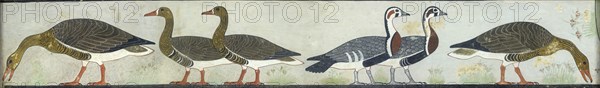Copy of wall painting from Mastaba of Itet, Medum (IV, 93-94) geese, 20th century. Artist: Anna (Nina) Macpherson Davies.