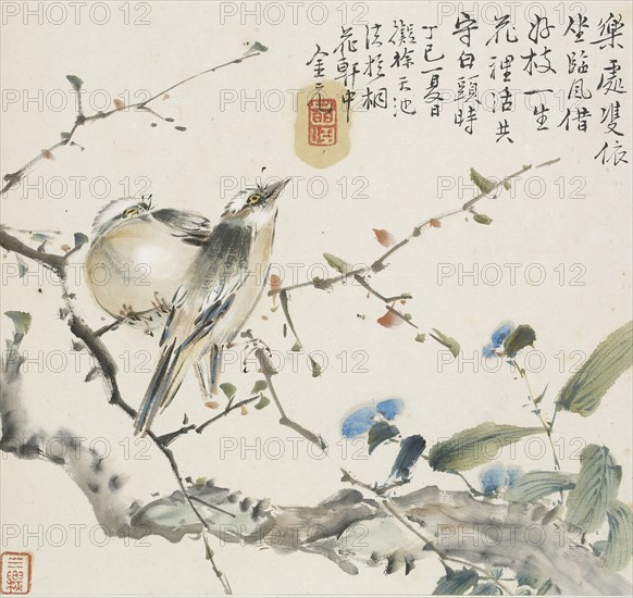 A pair of Chinese Bulbul birds, 1857. Artist: Jin Yuan.