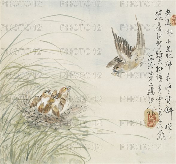 A bird carrying food in its mouth, 1857. Artist: Jin Yuan.