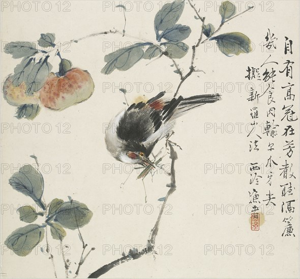 A Chinese Hwamei eating a grasshopper, 1857. Artist: Jin Yuan.