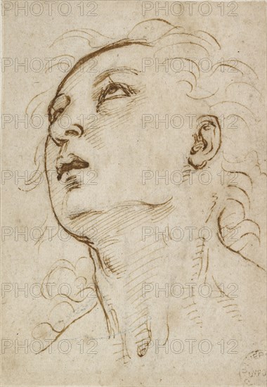 Head of a young Man gazing upwards, c1497-c1504. Artist: Raphael.