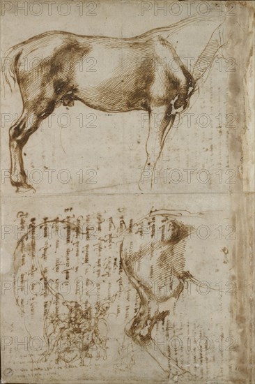 Studies of a Horse and of a Horseman attacking Foot-soldiers, early 16th century. Artist: Michelangelo Buonarroti.