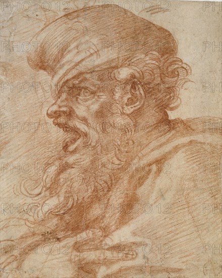 Head of a Bearded Man shouting, 16th century. Artist: Michelangelo Buonarroti.