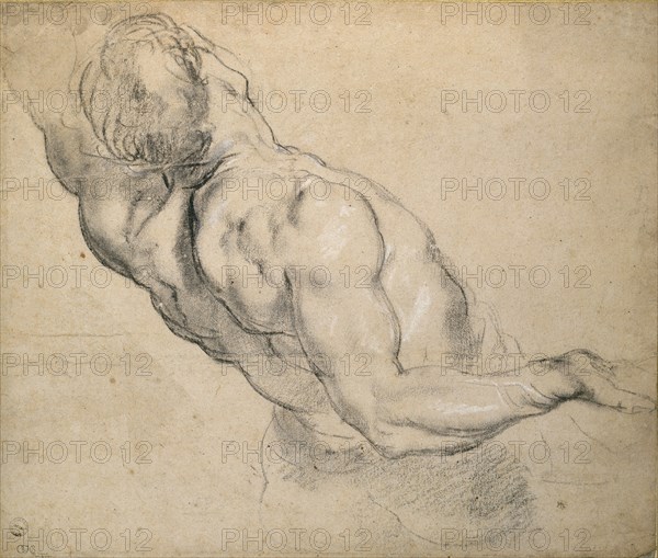 Study of a nude male Torso, 1600-1640. Artist: Peter Paul Rubens.