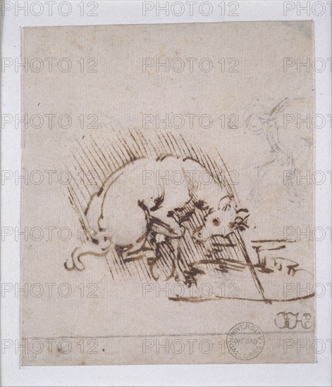 A Unicorn, c1472-1519 Artist: Leonardo da Vinci.