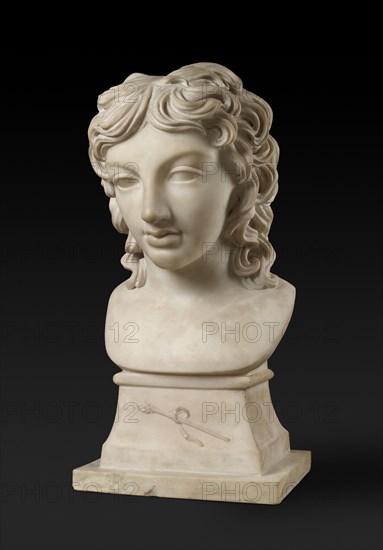 Bust portrait of Prince Henry Lubomirski in the character of Bacchus, c1787. Artist: Anne Seymour Damer.