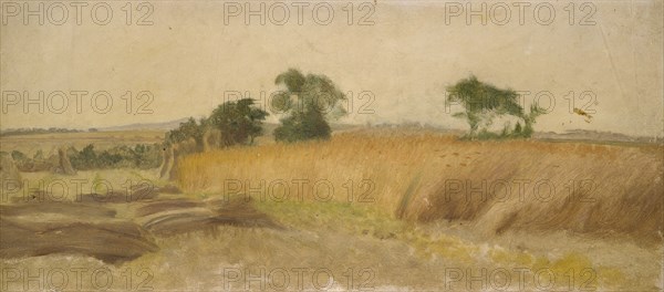 Study of a Cornfield, mid 19th century. Artist: George Heming Mason.