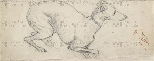 Study of a Greyhound, mid 19th century. Artist: Ford Madox Brown.