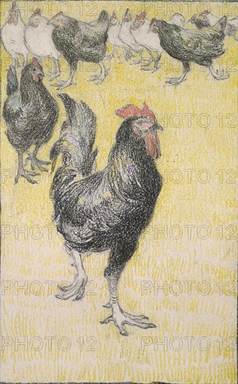 Cockerel, followed by black and white Hens, 1899. Artist: Theophile Alexandre Steinlen.