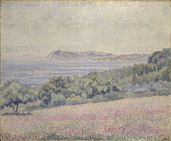 Thistles, Le Brusq, 1925. Artist: Lucien Pissarro.