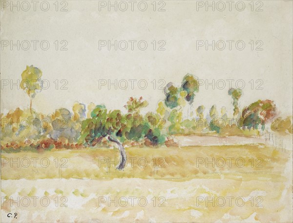 Study of the orchard at Eragny-sur-Epte, seen from the artist's house, c1886-1890. Artist: Camille Pissarro.