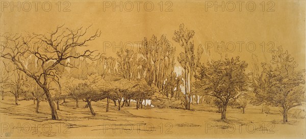 View of an Orchard at Saint-Denis, mid 19th century Artist: Charles Francois Daubigny.