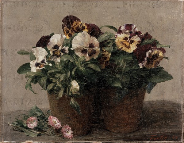 Still Life: Pansies and Daisies, 1880. Artist: Henri Fantin-Latour.