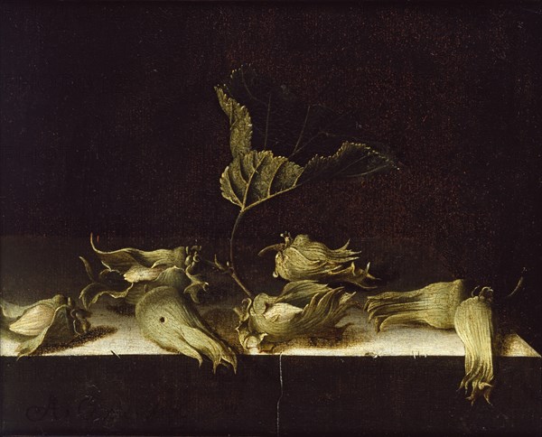 Still Life with Hazel-nuts, 1696. Artist: Adriaen Coorte.