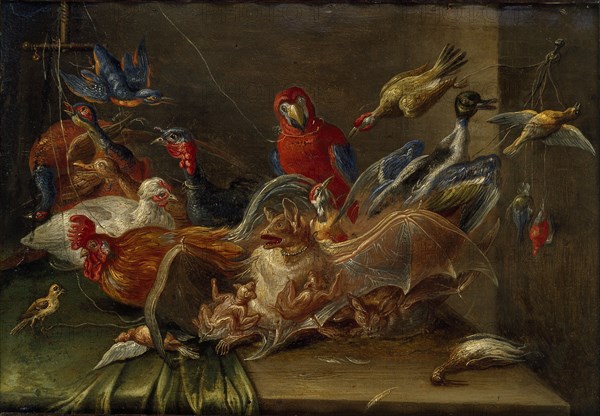 Decorative Still-Life Composition with Birds and Two Bats, mid 17th century. Artist: Jan van Kessel.