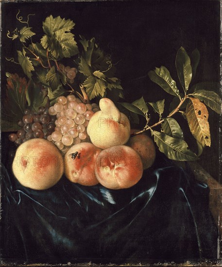 Still Life of Peaches and Grapes, 1705. Artist: Willem Frederiksz van Royen.