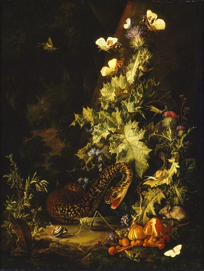 Still Life with a Snake, early 18th century. Artist: Elias Van Den Broeck.