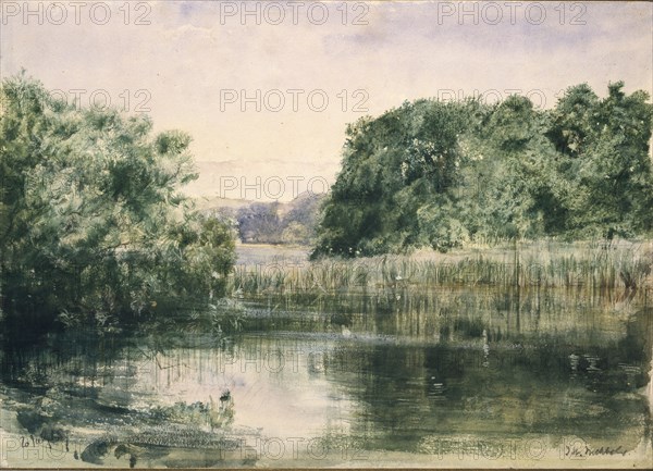 View of a Lake with Trees, 1857. Artist: John William Inchbold.