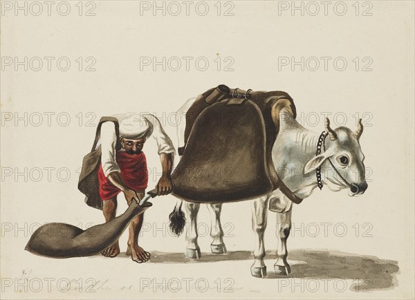 Water-carrier, c1810. Artist: Sewak Ram.