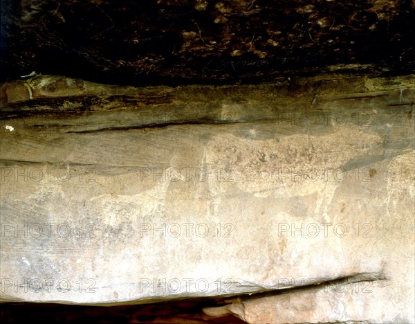 Cave paintings in the Abrigo del Navazo.