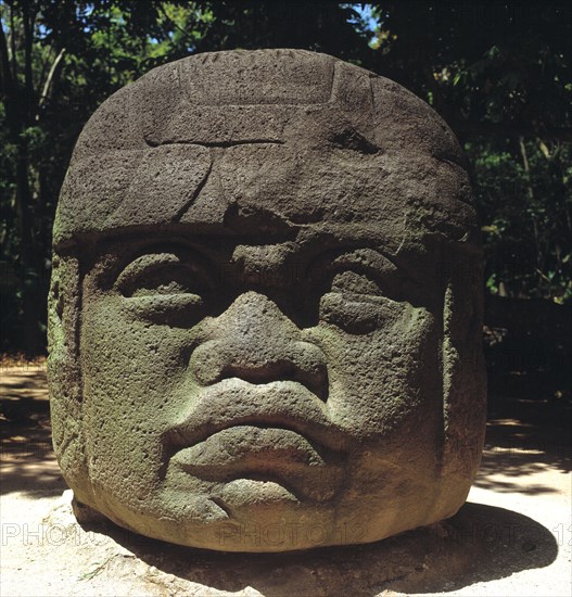 Giant head from Olmec culture.