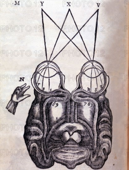 Schematic drawing on the functioning of the brain and human ocular system, engraving published in?