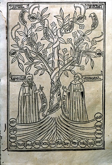 Engraving of a tree in the work 'Arbor Scientiae' (Science Tree) copy printed in Barcelona in 150?