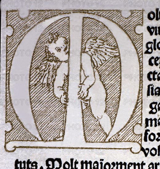 Initial Letter of the dedicatory <Molt exelent virtuos e glorios.> pertaining to the work 'Tirant?