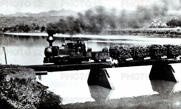 Narrow track train in the fields of Cuba, transporting sugar cane to the factories, photograph 1920.