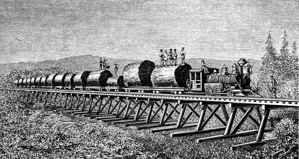 Steam train carrying trunks of giant trees in California, engraving of 1886.