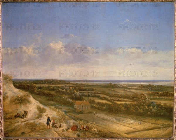 View of Haarlem from the dunes.