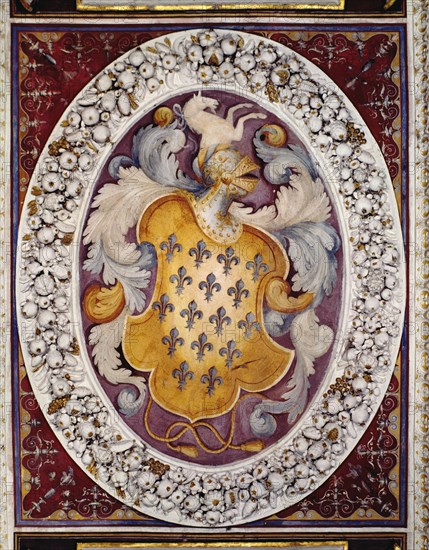 Farnese Family Shield.