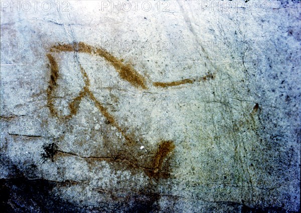 Horse in La Pileta Cave (Málaga), it's only shown the front of the animal, by the solid line prof?