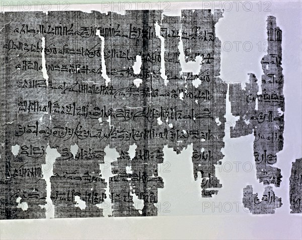 Hieratic writing. Judiciary Act of the trial against the conspirator who murdered Remesia 3rd.