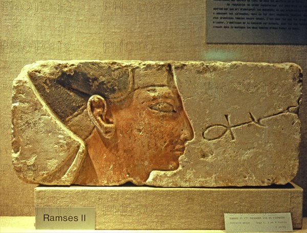 Ramesses II receiving life and wealth, fragment showing only the head, made in polychromed limest?
