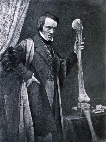 Richard Owen (1804-1892), English zoologist and anatomical, curator of the Royal College of Surge?