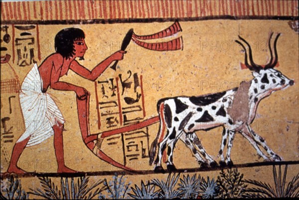 Representation of an Egyptian doing agricultural tasks, detail of a fresco from the tomb of Senne?