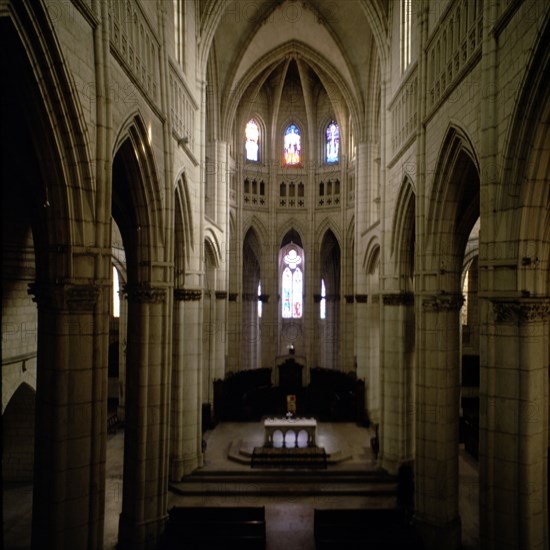 Detail of the interior nave of the old cathedral of Santa Maria de Vitoria, covered with rib vaults.