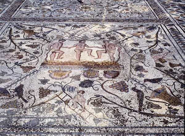Ruins of Mérida, Roman house of the Amphitheater, detail of the mosaic with scenes of treading of?