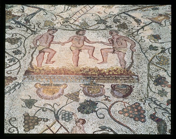 Ruins of Mérida, Roman house of the Amphitheater, detail of the mosaic with scenes of treading of?