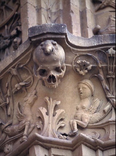 University of Salamanca, detail of the decoration in the first part of the façade with frog perch?