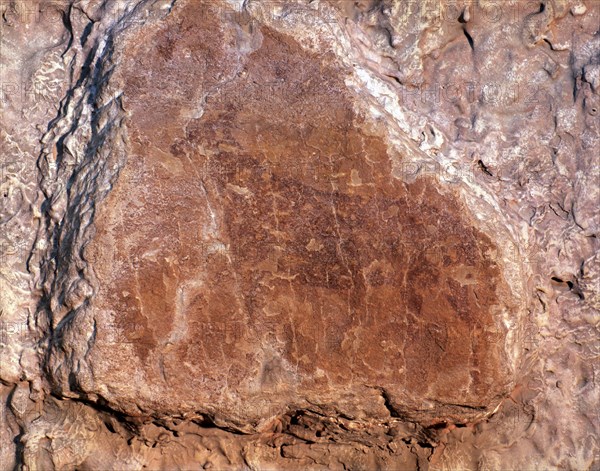 Deer marching, drawn in red with spot colors. Levantine Art, from the Canyon of Calapata in Creta?