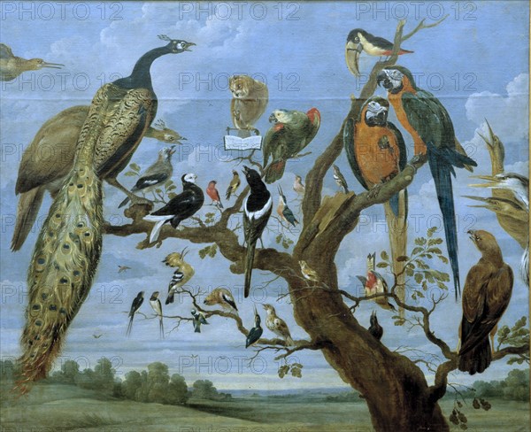 'Concert of Birds', oil Painting by Paul de Vos.