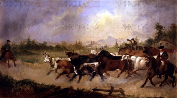 'The herd of bulls' oil by Fernando de Paula Bringas.