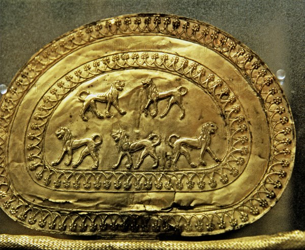 Etruscan chest with gold leafs, scene with several lions.