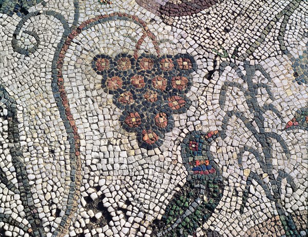 Mosaic in the Amphitheatre house representing a cluster of grapes and a bird, preserved in the ar?