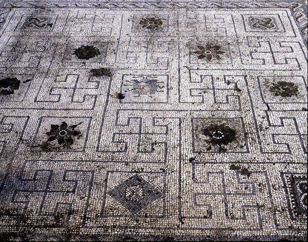 Mosaic in Birds house in the Roman ruins of Italica founded in 206.C. by Scipio.