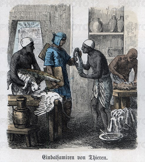 Ancient History. Egypt. Embalming of animals. German engraving, 1865.