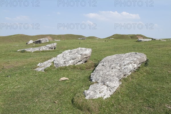 Arbor Low, 2006. Creator: Ethel Davies.