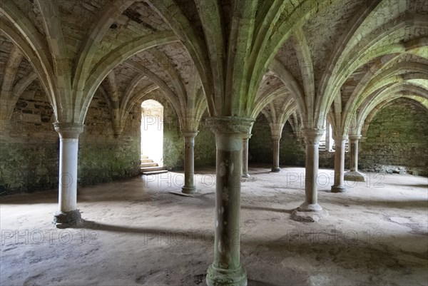 Battle Abbey, 2009. Creator: Ethel Davies.